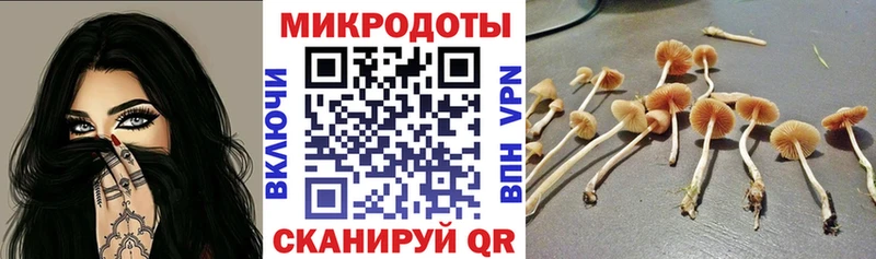 kraken рабочий сайт  Саранск  Галлюциногенные грибы мицелий 