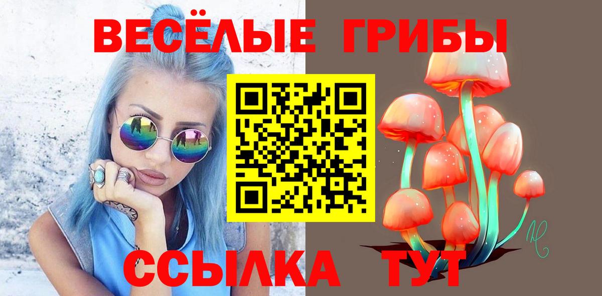 Псилоцибиновые грибы MAGIC MUSHROOMS  Вход с VPN  Саранск 